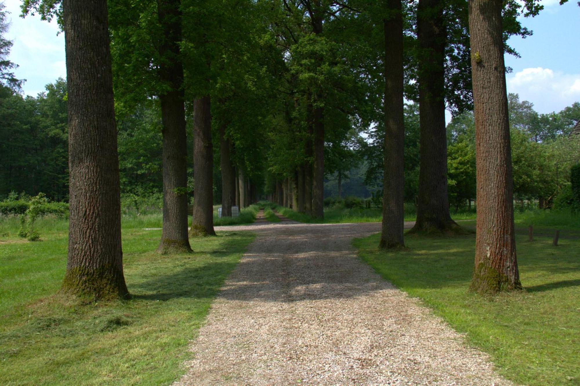 B&B Kasteel Den Tip Arendonk Exteriör bild